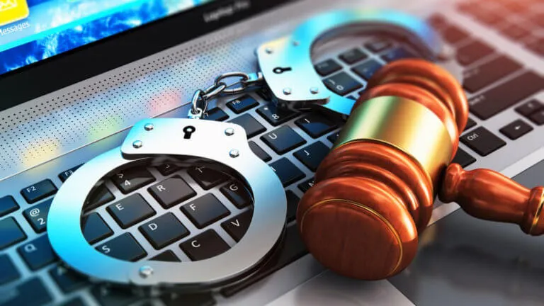 Stronger Joint Action Needed to Combat Cybercrime – Deputy Interior Minister